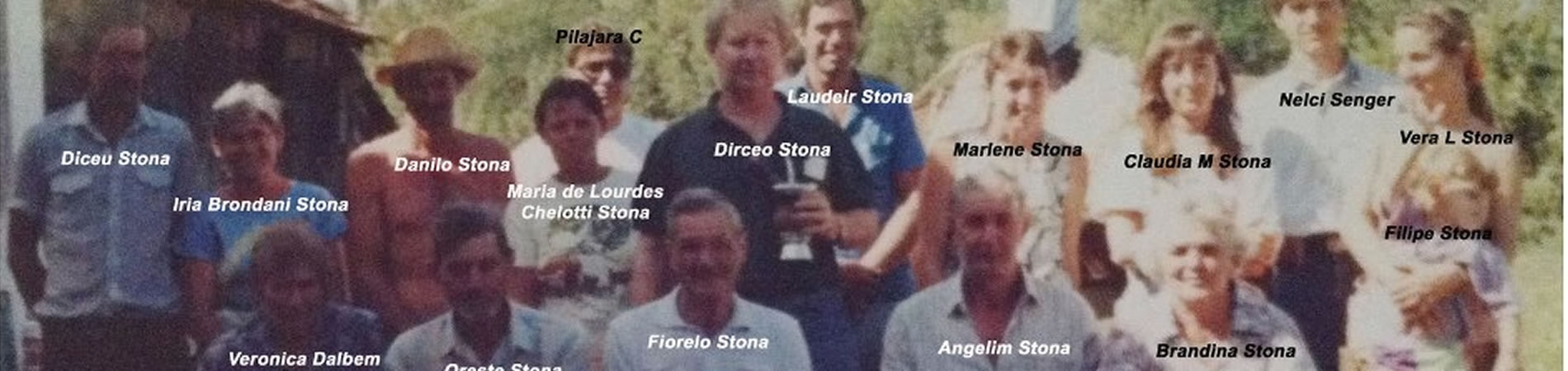 Ferramenta de busca da Família Stona